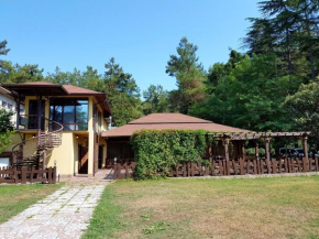 Guest House Black Sea
